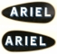 AR04 ADESIVO ARIEL (COPPIA)